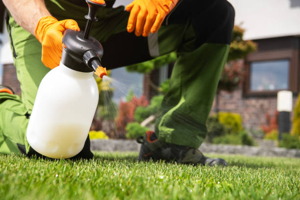 Insect Control in Lake Mohawk, NJ