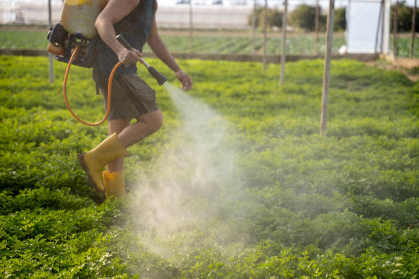 Best Pest Control Treatment  in Lake Mohawk, NJ