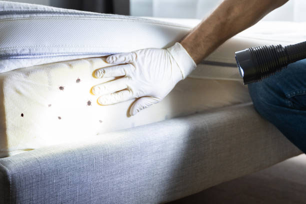 Professional Pest Control in Lake Mohawk, NJ