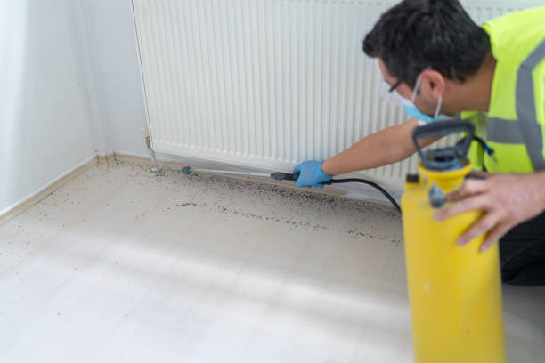 Best Cockroach Control Services  in Lake Mohawk, NJ
